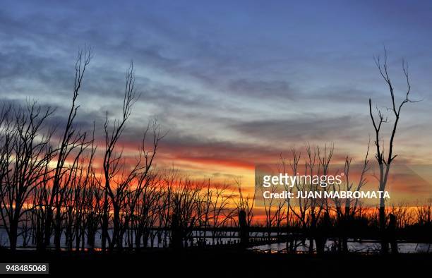 By Oscar Laski Picture showing dead trees in Lago Epecuen village, some 600 km southwest of Buenos Aires, taken during sunset on May 3, 2011 after...