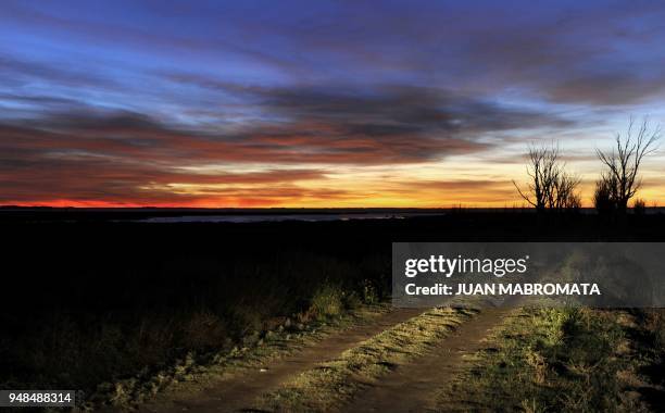 By Oscar Laski Picture of the road leading to the cemetery of Carhue, taken during sunset on May 4 near Lago Epecuen village, some 600 km southwest...