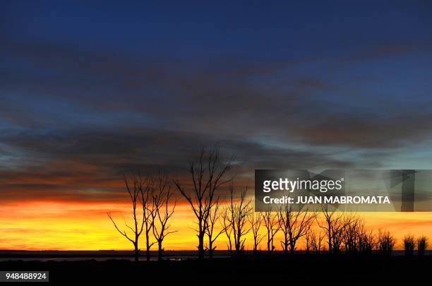 By Oscar Laski Picture of the sunset over Carhue, taken on May 4 near Lago Epecuen village, some 600 km southwest of Buenos Aires. Parts of Carhue,...