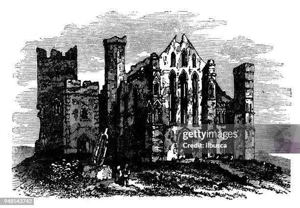 antique engraving illustration: cashel cathedral - cashel stock illustrations