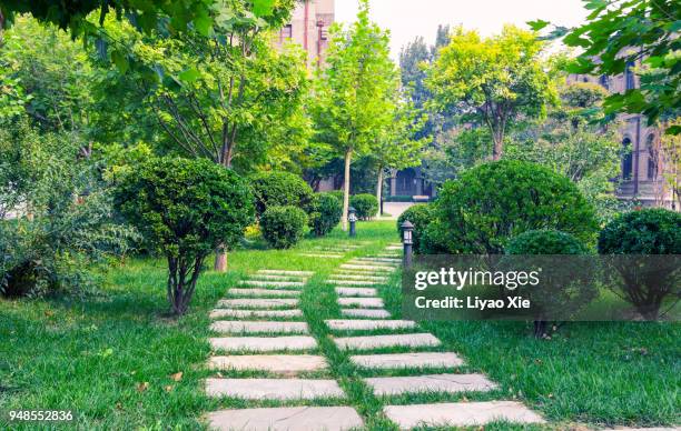 a stone walkway - paso elevado fotografías e imágenes de stock