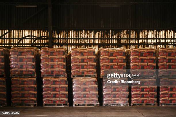 Sealed pallets containing packets of Surebuild cement mixture sit in the storage warehouse at the PPC Ltd. Hercules cement plant in Pretoria, South...