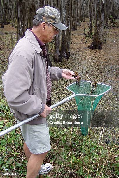 Ken Shaw, head of the Cypress Valley Navigation District, which oversees the boat lanes on Caddo Lake, inspects a net containing giant salvinia...