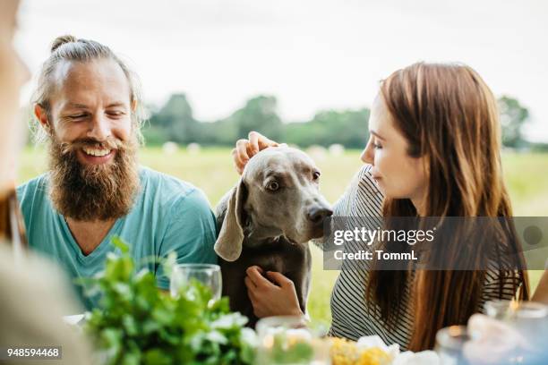 couple petting their dog while having lunch outdoors - thanksgiving pets stock pictures, royalty-free photos & images