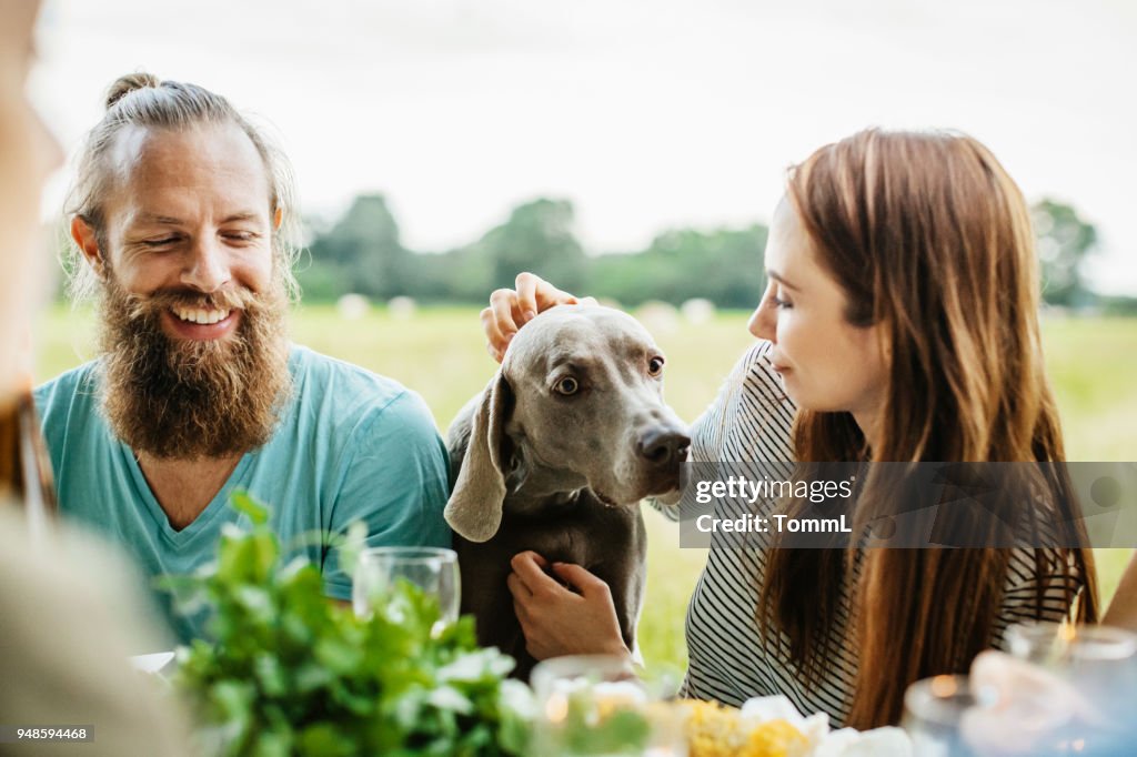 情侶在戶外吃午飯時撫摸他們的狗