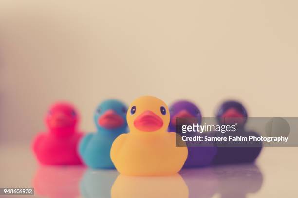 rubber duckies on white background - rubber ducks in a row stock pictures, royalty-free photos & images