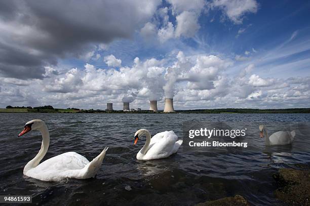 Swans swim on an artificial lake called "Barrage de Mirgenbach" in front of the Electricite de France, or EDF, Cattenom nuclear power plant near...