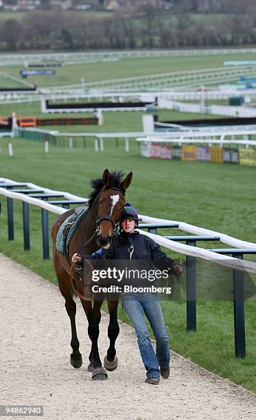 Handler walks a horse along the racetrack at Cheltenham Racecourse on the first day of the Cheltenham Festival, in Cheltenham, U.K., on Tuesday,...