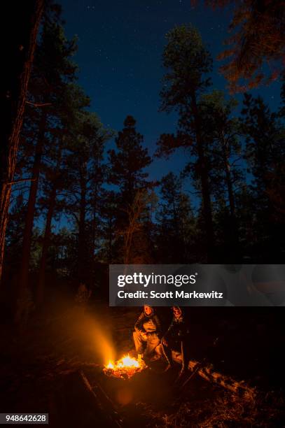 two men sitting around a glowing fire at night at their campsite - contea di iron foto e immagini stock