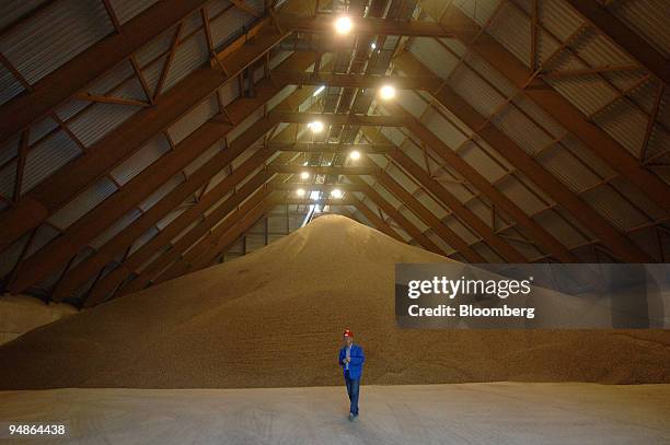 Large pile of pellets made from waste produced in the sugar-making process to be rehydrated and fed to animals waits in a warehouse at the Suedzucker...