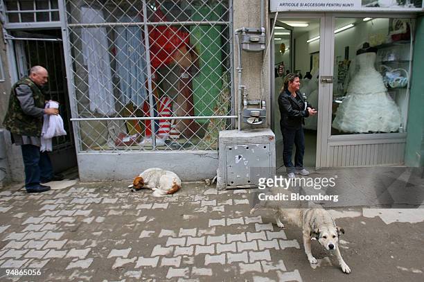 Stray dog stretches outside a shop in Bucharest, Romania, on Tuesday, April 1, 2008. The Romanian capital is the site of a NATO summit that starts...