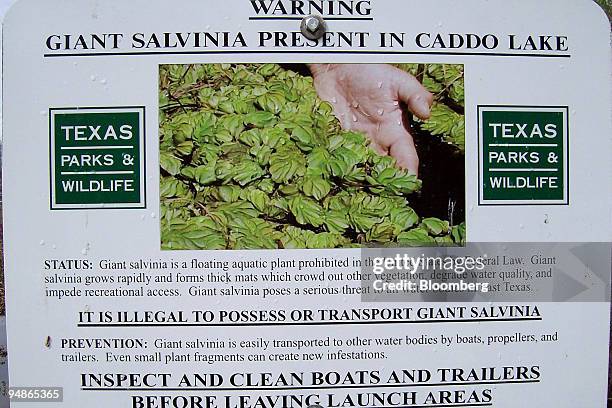Sign warns boaters of giant salvinia presence at Potters Point on Caddo Lake in Texas, U.S., on April 3, 2008. As Caddo Lake's water temperature...