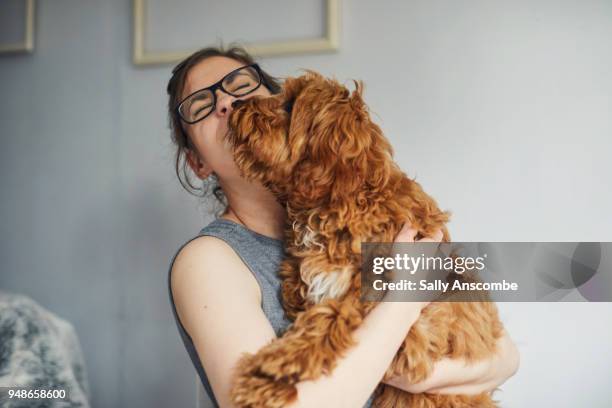 woman holding her pet dog - doggy position stock-fotos und bilder