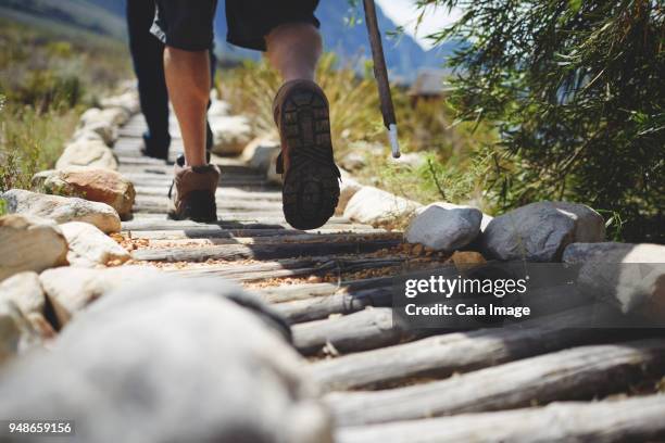 feet of male hiker hiking along log footpath - male feet stock-fotos und bilder