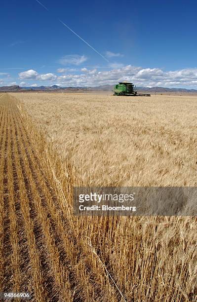Bryan Mitchell harvests a spring wheat crop in a John Deere combine in a field in Center, Colorado in the San Louis Valley on September 24, 2004.