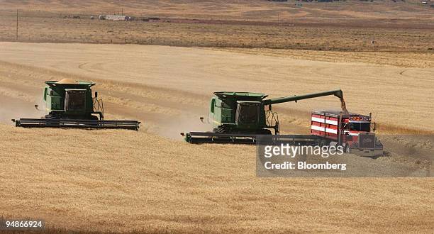Bryan Mitchell, in the combine on the right, dumps a load of wheat into a truck, as another combine harvests a spring wheat crop in a field in...