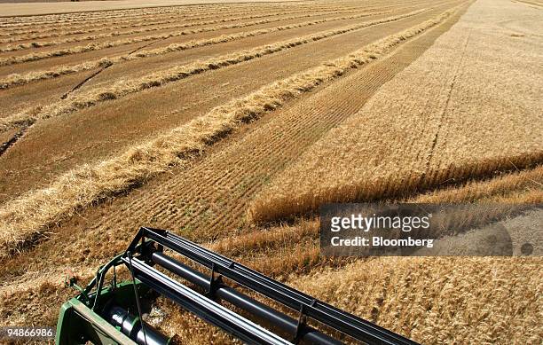 Bryan Mitchell harvests a spring wheat crop in a John Deere combine in a field in Center, Colorado in the San Louis Valley on September 24, 2004.