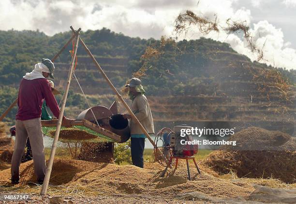 Filipino farmers thresh rice October 10, 2005 beside a lake and rice field near one of several abandoned copper pits mined on Marinduque Island in...