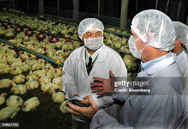 Health and Human Services Secretary Michael O. Leavitt, right, talks with the manager of a large chicken farm, inside a shed housing 36,000 chickens,...