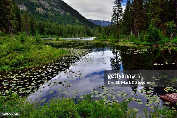 mountainside, blue skies and clouds caught in lake water reflections - wanderweg pacific crest trail stock-fotos und bilder