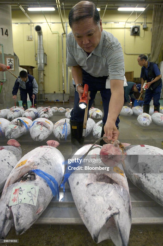 Wholesaler Shiro Kamoshita inspects the meat of a frozen tun