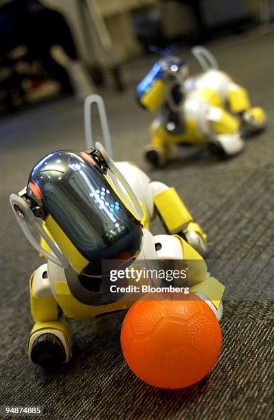 Sony Aibo robot dogs, programmed to evolve their own language by Sony Computer Science Lab Paris, play soccer at the Sony CSL Friday, June 10, 2005...
