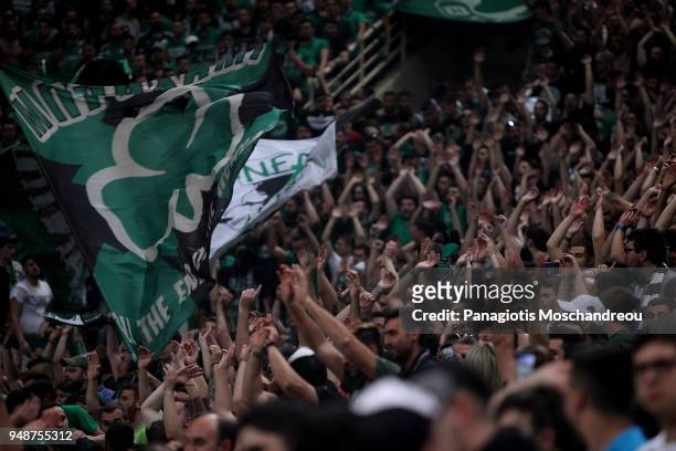 Fans of Panathinaikos Superfoods Athens react before the Turkish Airlines Euroleague Play Offs Game 2 between Panathinaikos Superfoods Athens v Real...