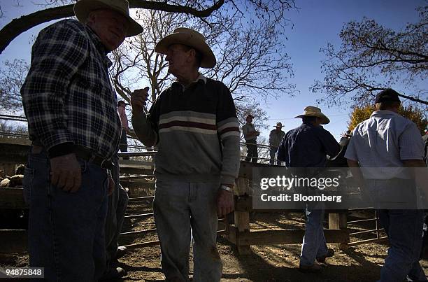 Farmers gather at the sheep sales in Goulburn, in southern New South Wales, Australia on Wednesday, June 8, 2005. A three-year drought covering...