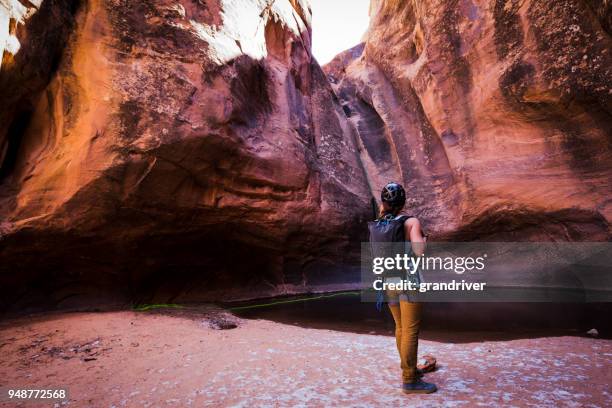 athletic young woman viewing sandstone cliff before climbing - canyoneering stock pictures, royalty-free photos & images