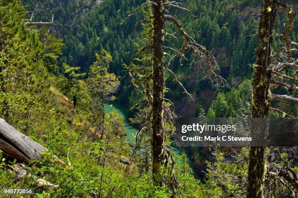 a view down a mountainside to the skagit river - diablo lake ストックフォトと画像