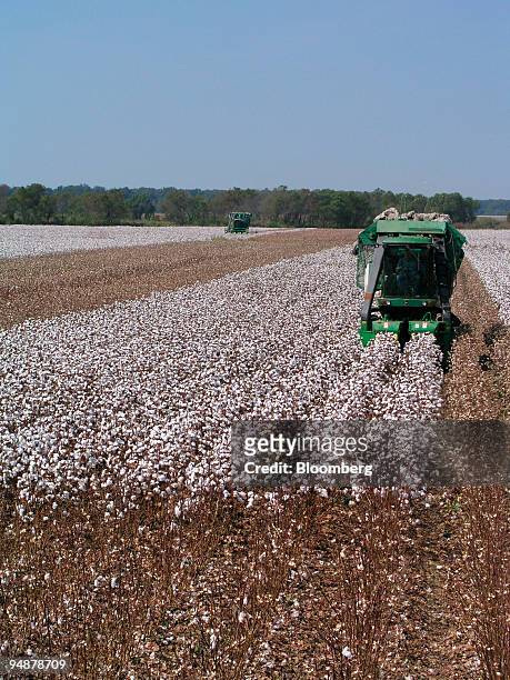 Cotton is harvested on part of the 900 acres of The Harold and Tommy Hancock Farms located in Madison and Yazoo Counties, Mississippi, October 5,...