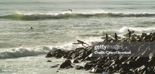 line of surfers waiting to enter water - burleigh beach stock pictures, royalty-free photos & images