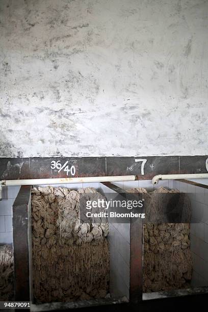 Salted pig intestines await processing in a factory in Rugao, China, on March 12, 2008. A mucous membrane is collected from the intestines and cooked...