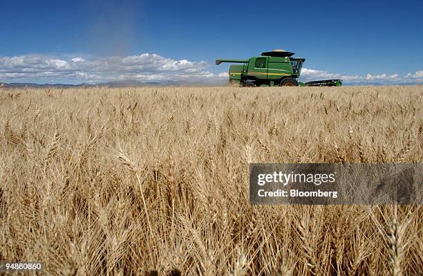 Bryan Mitchell harvests a spring wheat crop in a John Deere combine in a field in Center, Colorado in the San Louis Valley on September 24, 2004.