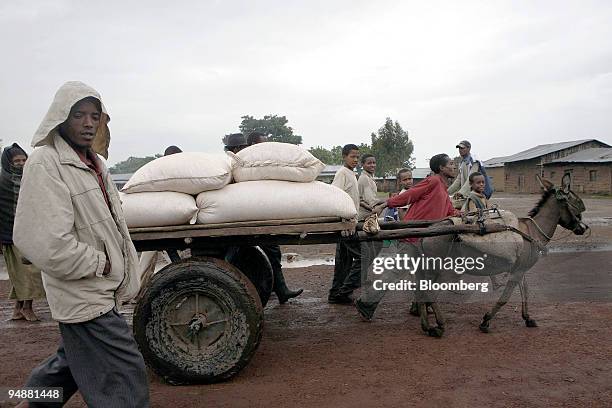 People carry sacks of maize, aid from the Ethiopian Red Cross, on a donkey cart in Lerra village, Wolayta, Ethiopia, on Monday, June 9, 2008. Farmers...