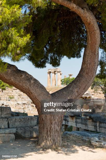 temple of apollo, corinth, greece - templo de apolo corinto imagens e fotografias de stock