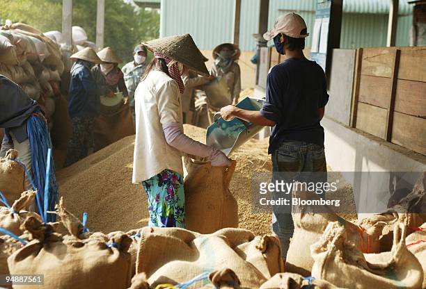 Farm hands, wearing conical hats, place rice grain into sacks at Co Do farm, in Can Tho Province, Vietnam, on Saturday, March 1, 2008. Shipments of...