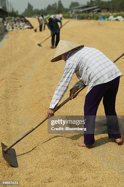 Farm hands, wearing conical hats, rake rice grain at Co Do farm, in Can Tho Province, Vietnam, on Saturday, March 1, 2008. Indonesia joins China,...