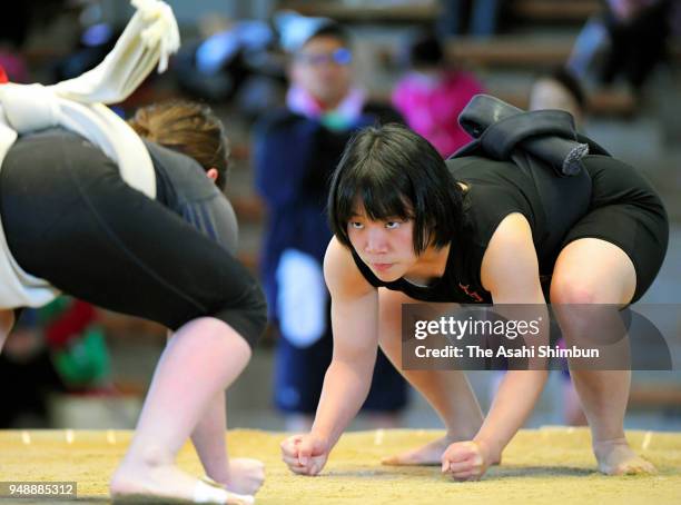 Women Sumo Wrestlers Photos and Premium High Res Pictures - Getty Images