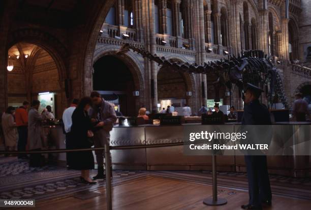 Salle d'exposition du musée d'histoire naturelle de Londres, en 1990, Royaume-Uni.
