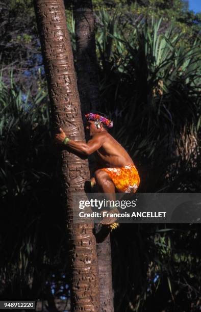 Homme grimpant à un arbre dans le Polynesian Cultural Center de Laie, à Hawaï, en 1998, Etats-Unis.