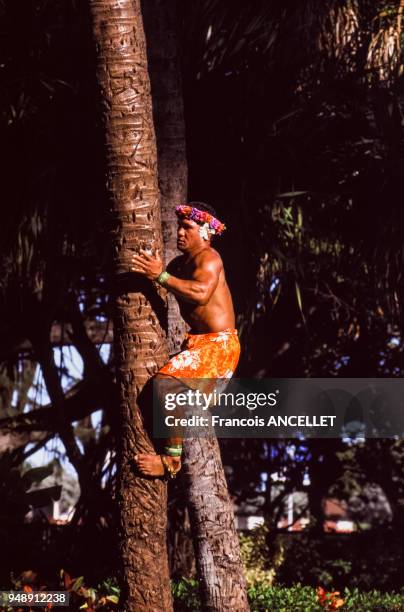 Homme grimpant à un arbre dans le Polynesian Cultural Center de Laie, à Hawaï, en 1998, Etats-Unis.