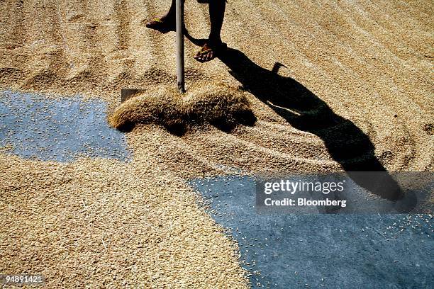 Pavement Drying Rice Concrete Milling Photos and Premium High Res Pictures - Getty Images