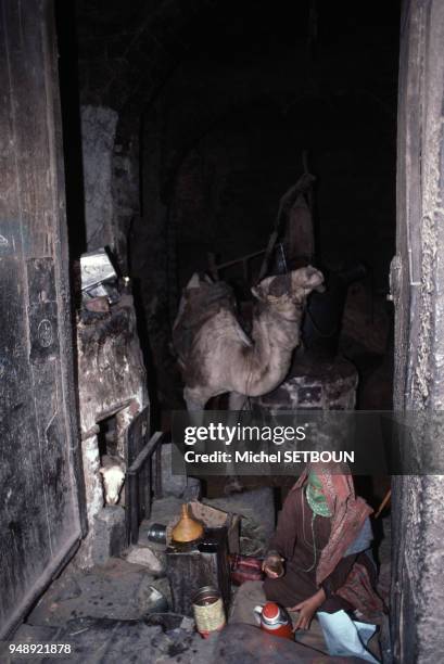 Femme prenant le thé à l'entrée de sa maison à Sanaa, en mars 1985, Yémen.