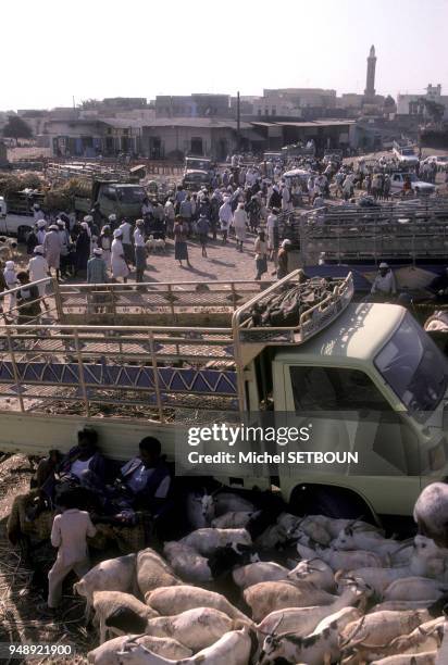 15 Bait Al Faqih Stock Photos, HighRes Pictures, and Images Getty Images