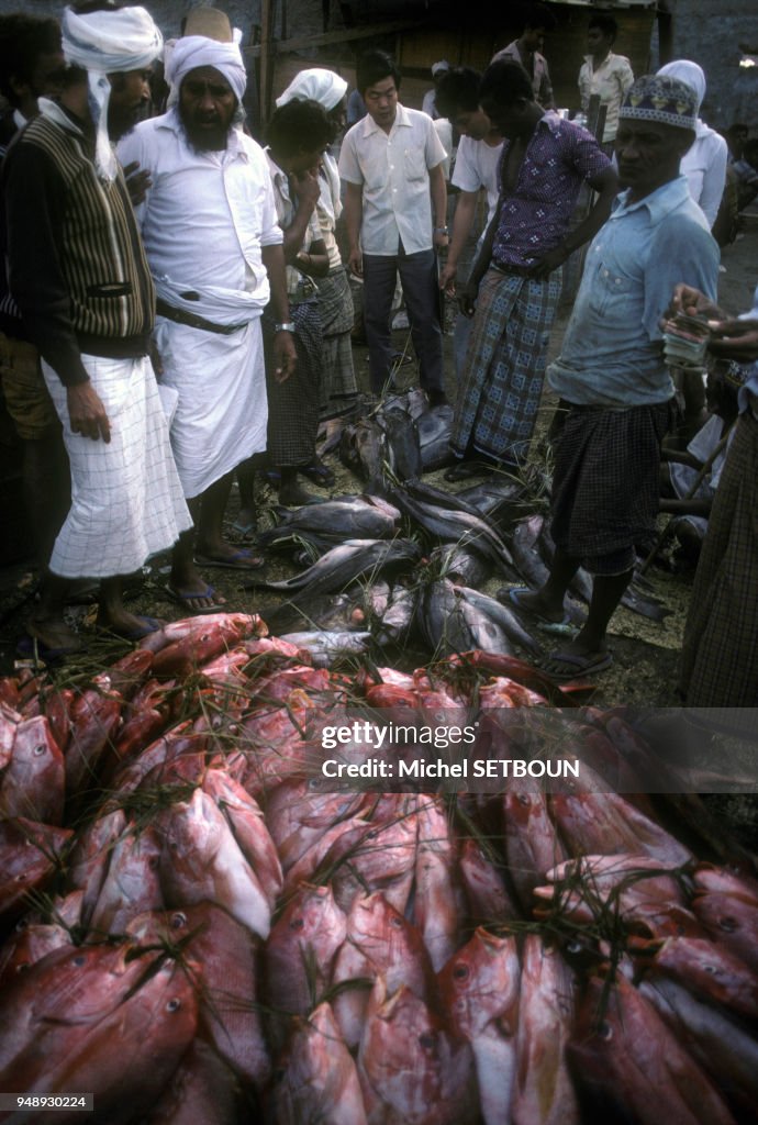 Marchand de poissons à Al Hudaydah