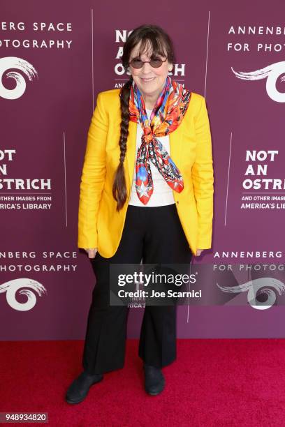 Carol Highsmith attends the Annenberg Space for Photography's "Not An Ostrich" Exhibit Opening Party at the Annenberg Space For Photography on April...