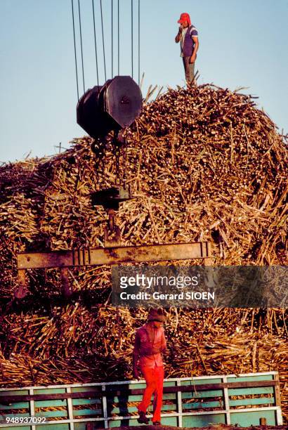 Usine de transformation de canne à sucre à San Pedro Sula, en mars 1979, Honduras.