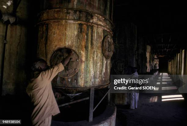 Distillerie d'huiles essentielles à Mysore, en 1985, Inde.