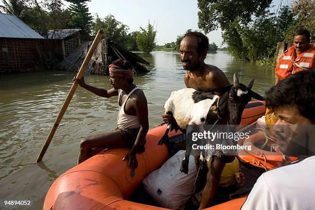 Man carries his goat as he is rescued from the flood in Purnea District, Bihar, India, on Wednesday, Sept. 3, 2008. India sent doctors to the...